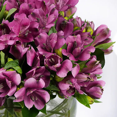 Purple Alstroemeria Lily Arrangement